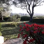 House In The Olive Garden *