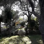 House In The Olive Garden