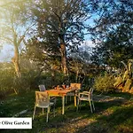 House In The Olive Garden Ágios Ioánnis