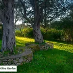 House In The Olive Garden