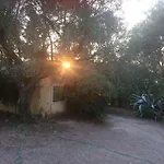 House In The Olive Garden