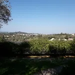 House In The Olive Garden Lejlighed