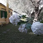 House In The Olive Garden *