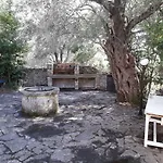 House In The Olive Garden *