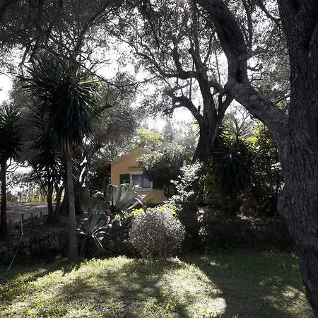 House In The Olive Garden