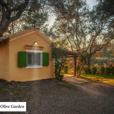 House In The Olive Garden *