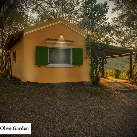 Appartement House In The Olive Garden *