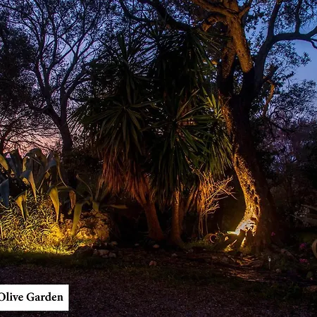 House In The Olive Garden Appartement