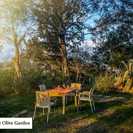 House In The Olive Garden Ágios Ioánnis