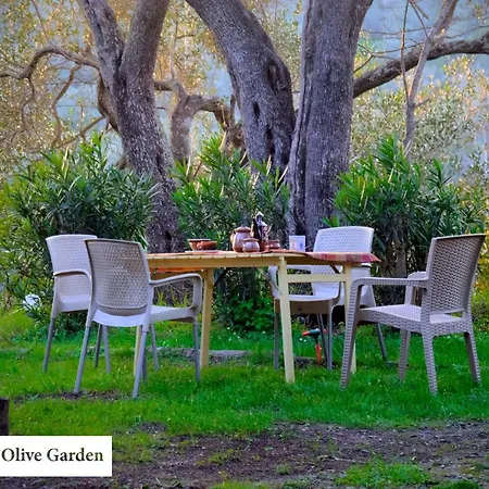 House In The Olive Garden * Ágios Ioánnis