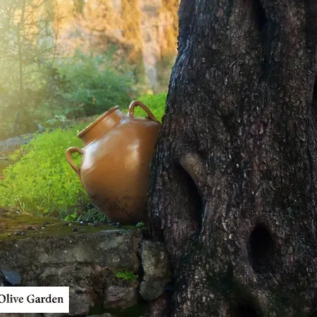 House In The Olive Garden Апартаменты *