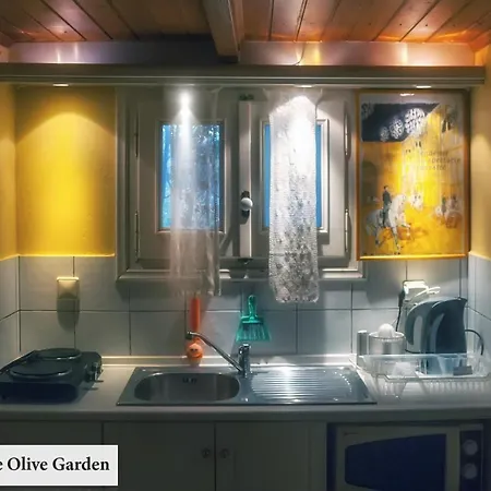 House In The Olive Garden شقة