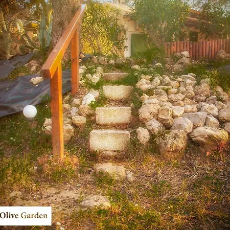 House In The Olive Garden شقة