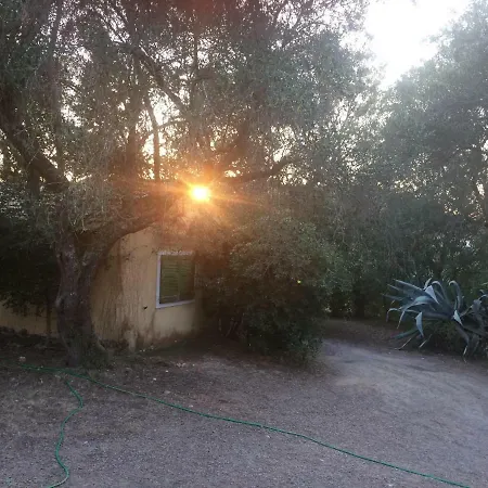 House In The Olive Garden