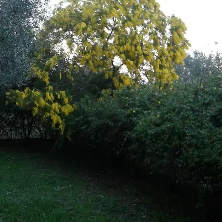 Apartamento House In The Olive Garden Ágios Ioánnis