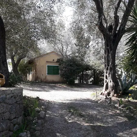 House In The Olive Garden Apartamento Ágios Ioánnis