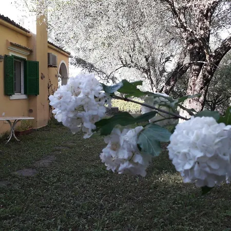 House In The Olive Garden *