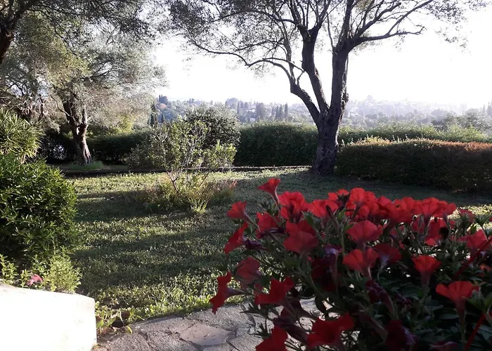 House In The Olive Garden *