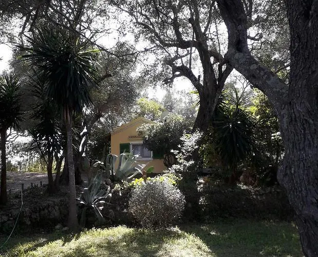House In The Olive Garden