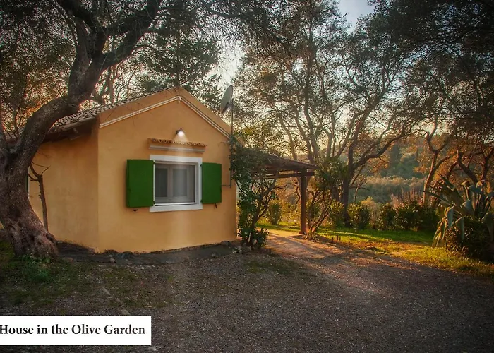 House In The Olive Garden *