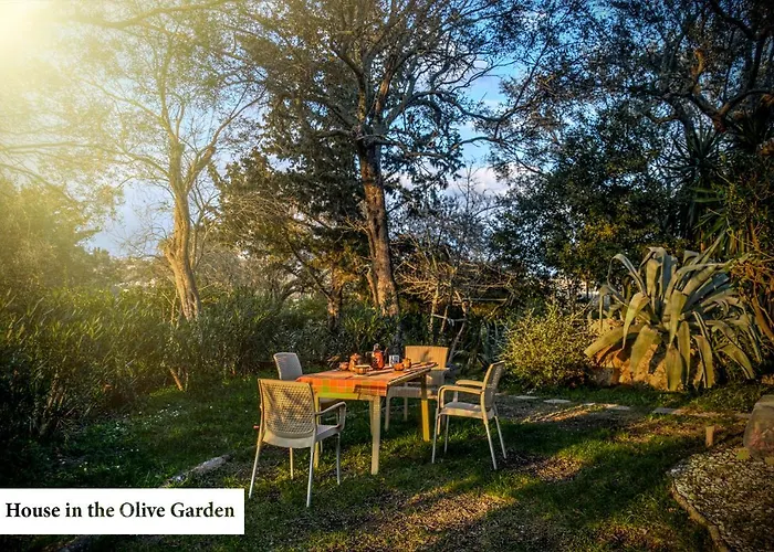 House In The Olive Garden Ágios Ioánnis