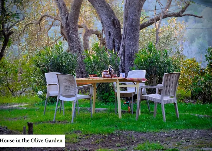 House In The Olive Garden * Ágios Ioánnis