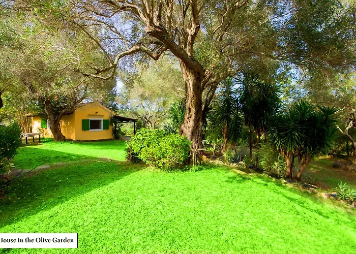 House In The Olive Garden *