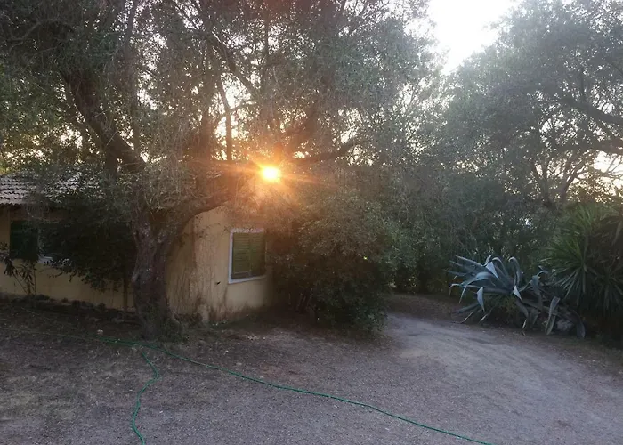House In The Olive Garden