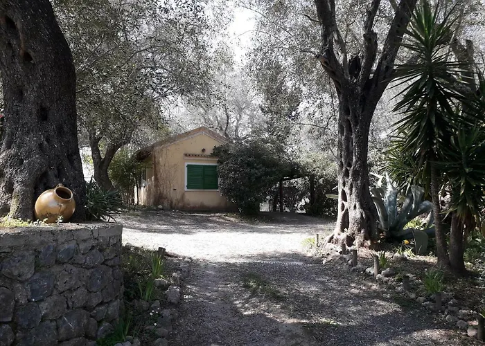 House In The Olive Garden Apartmán Ágios Ioánnis