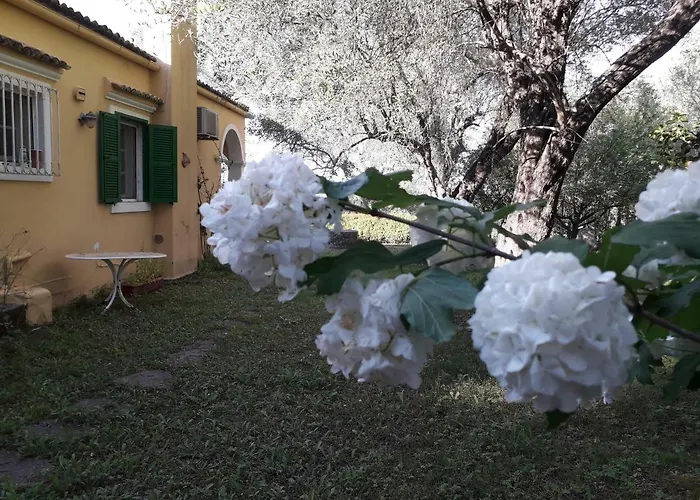 House In The Olive Garden *