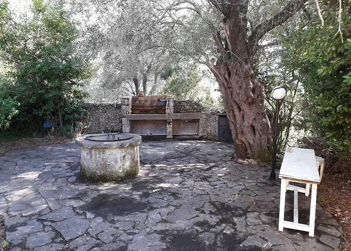 House In The Olive Garden *