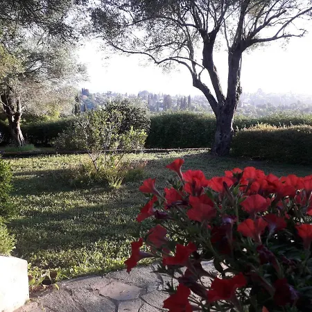 House In The Olive Garden *