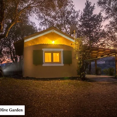 House In The Olive Garden Daire