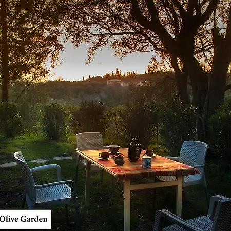 Daire House In The Olive Garden