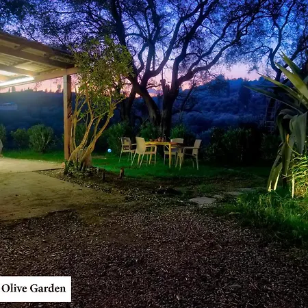 House In The Olive Garden Daire