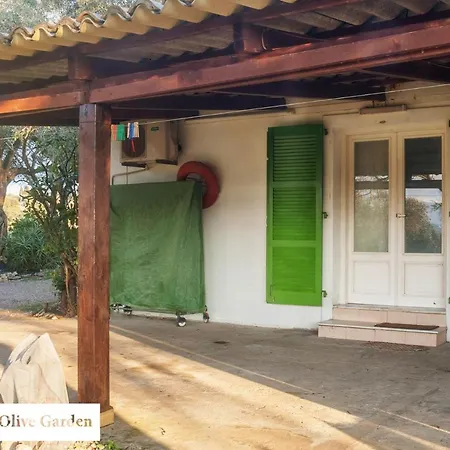 House In The Olive Garden Daire *