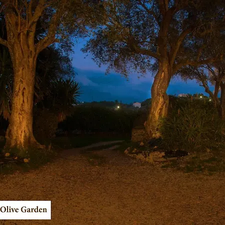 House In The Olive Garden