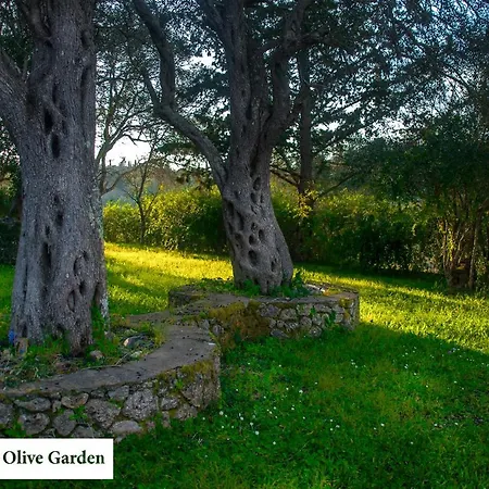House In The Olive Garden