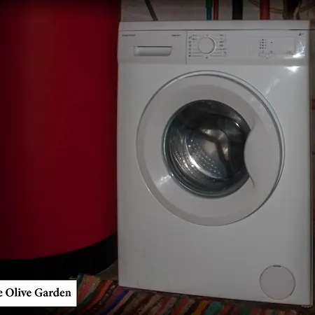 House In The Olive Garden Daire
