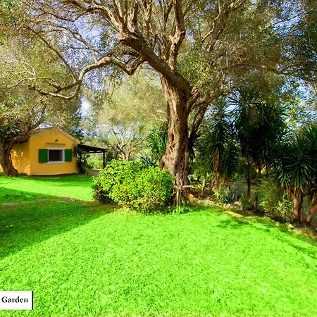 House In The Olive Garden *