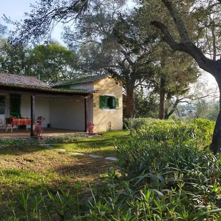 House In The Olive Garden Appartamento Ágios Ioánnis