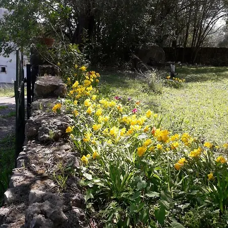 Appartamento House In The Olive Garden *
