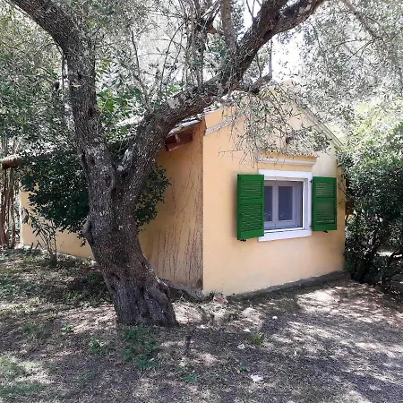 House In The Olive Garden Daire *