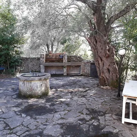 House In The Olive Garden *